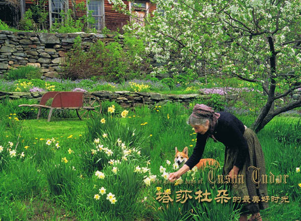 【典藏轉(zhuǎn)載】塔莎奶奶的美好生活 - 風(fēng)鈴草 - 風(fēng)鈴草の安心若素居