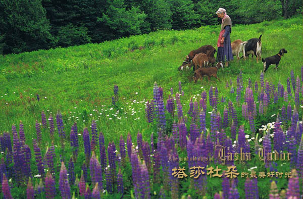 【典藏轉(zhuǎn)載】塔莎奶奶的美好生活 - 風(fēng)鈴草 - 風(fēng)鈴草の安心若素居 【典藏轉(zhuǎn)載】塔莎奶奶的美好生活 - 風(fēng)鈴草 - 風(fēng)鈴草の安心若素居