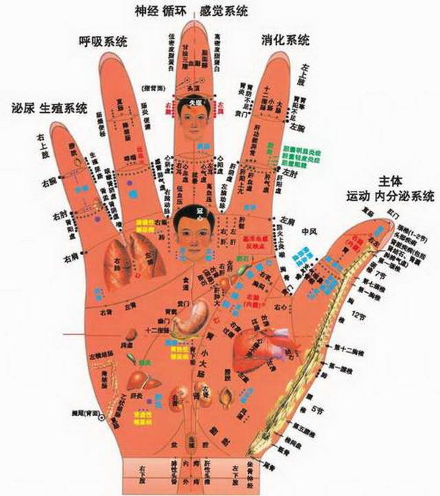值得收藏的146個偏方（轉） - 輕羽無痕 - 羽毛的蝸居