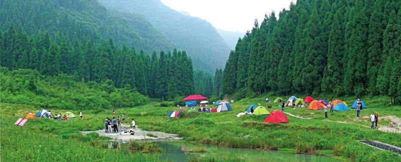 郊區露營基地 - 81226646 - 榴蓮