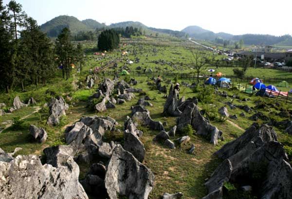 郊區露營基地 - 81226646 - 榴蓮